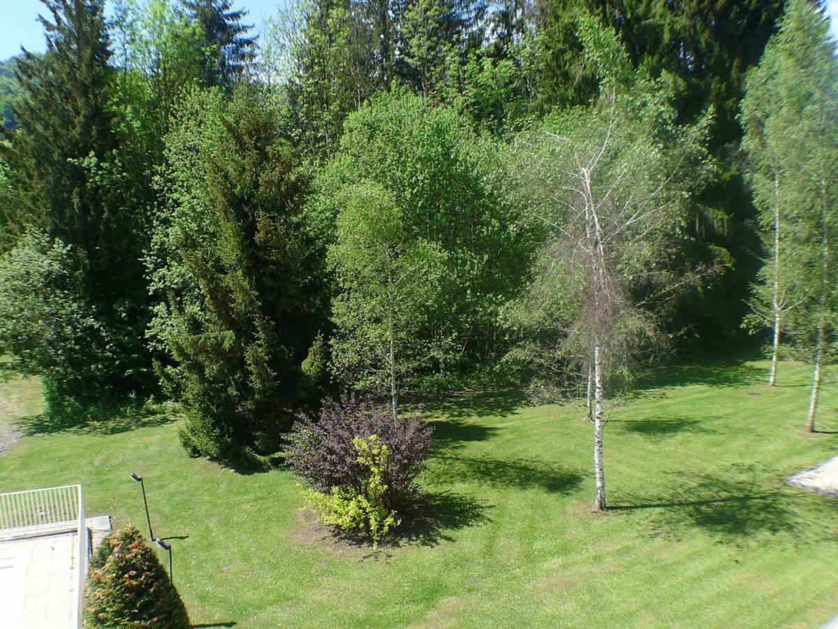 Studio Mansarde Avec Balcon, Piscine Et Parking Souterrain A Samoens - Fr-1-629-92 Kültér fotó