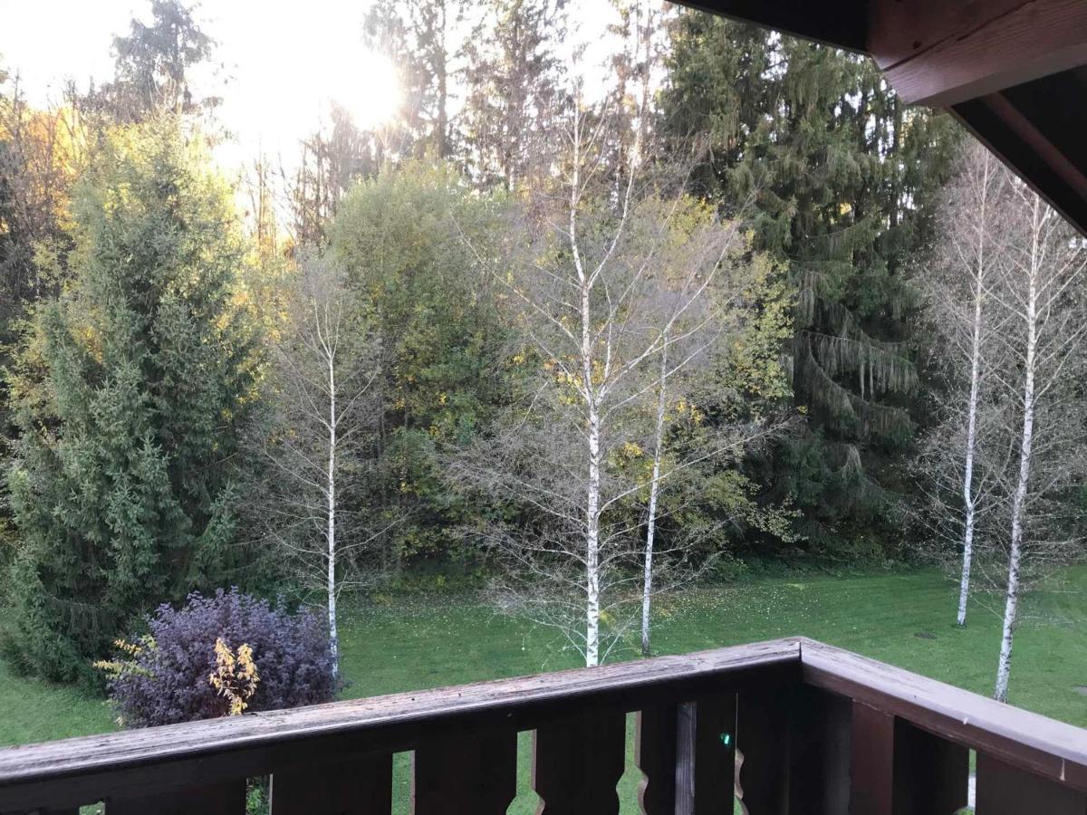 Studio Mansarde Avec Balcon, Piscine Et Parking Souterrain A Samoens - Fr-1-629-92 Kültér fotó